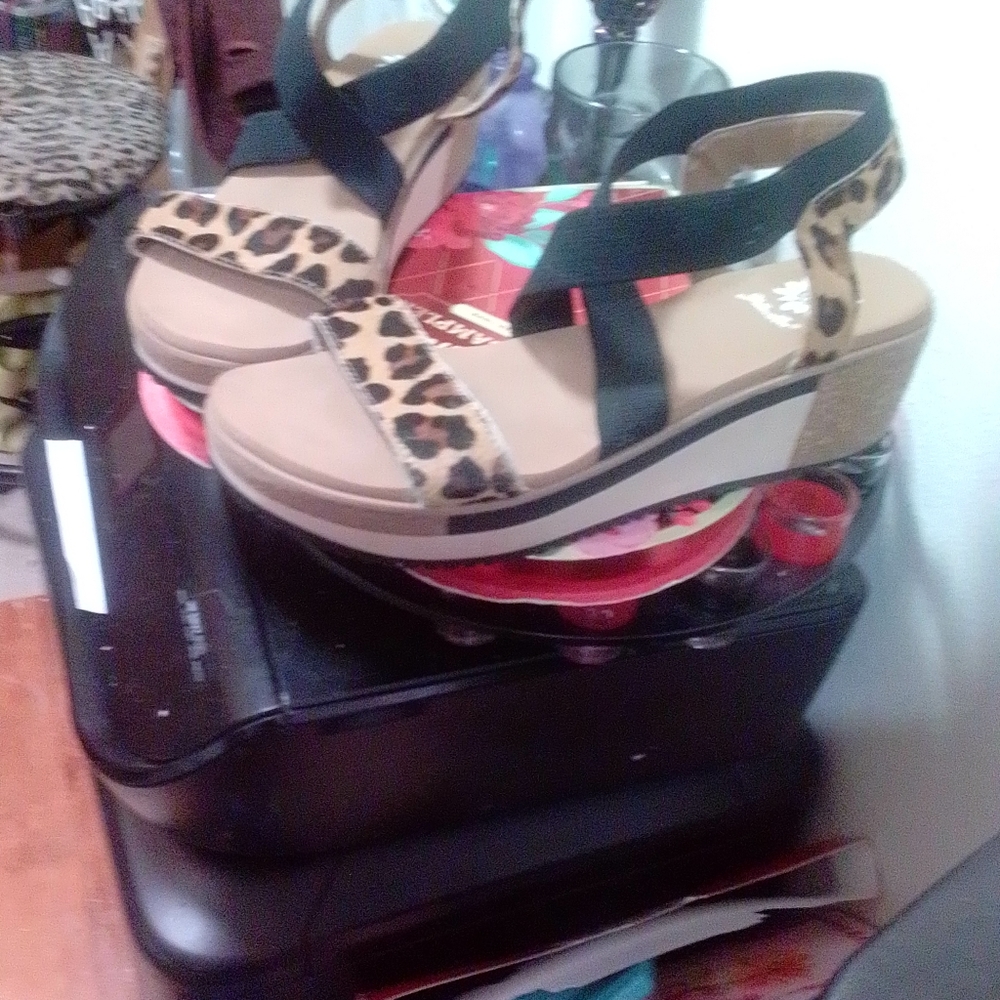 Sandrels